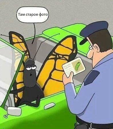 Мы не можем не меняться!